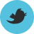 https://twitter.com/carpetwizard478